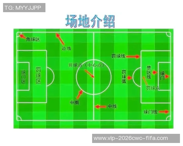 足球比赛的独特魅力与战术策略分析探讨
